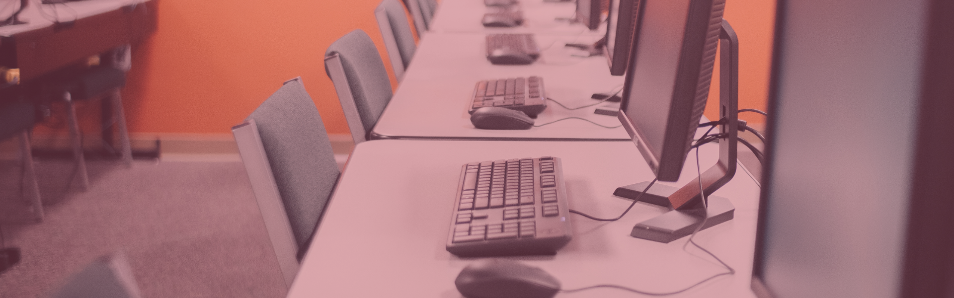 Back-Office Outsourcing vs. In-House: Which Is Better for Growing Businesses?